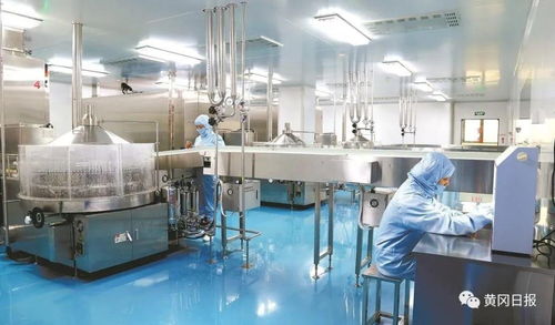 對標(biāo)先進(jìn) 破冰突圍 宜昌化工產(chǎn)業(yè)轉(zhuǎn)型升級的破局之路